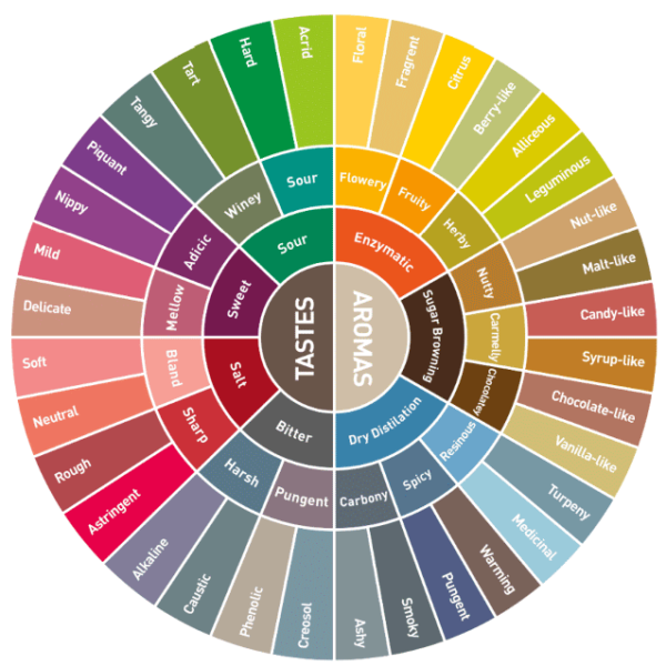 ruota-analisi-sensoriale ruota-analisi-sensoriale